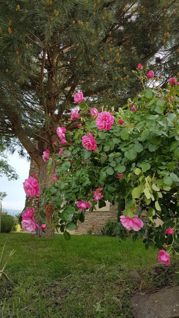 Relais De Navon Bed & Breakfast Saint-Joseph  Dış mekan fotoğraf